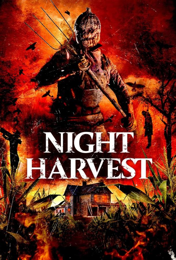 Night Harvest