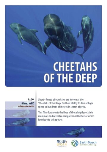 Cheetahs of the Deep