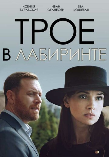 Трое в лабиринте (сериал)