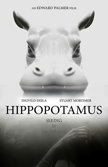 Hippopotamus