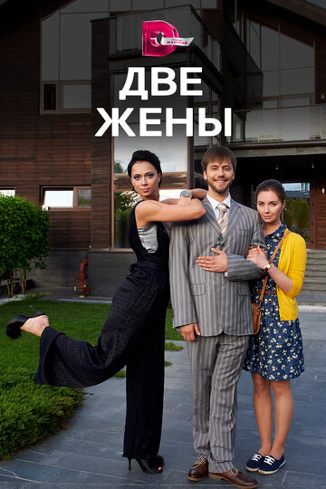 Две жены (мини-сериал)