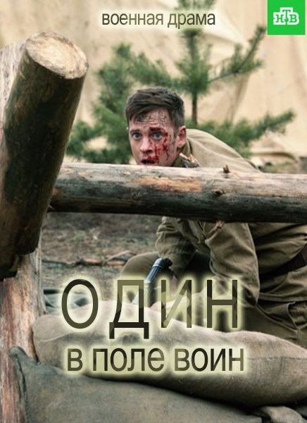 Один в поле воин (мини-сериал)