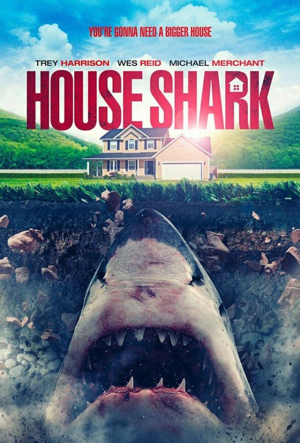 House Shark