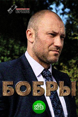 Бобры (сериал)