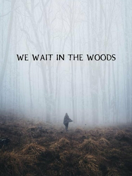 We Wait in the Woods