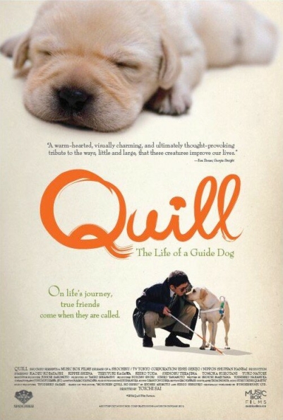 Quill