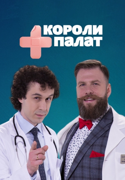 Короли палат (сериал)