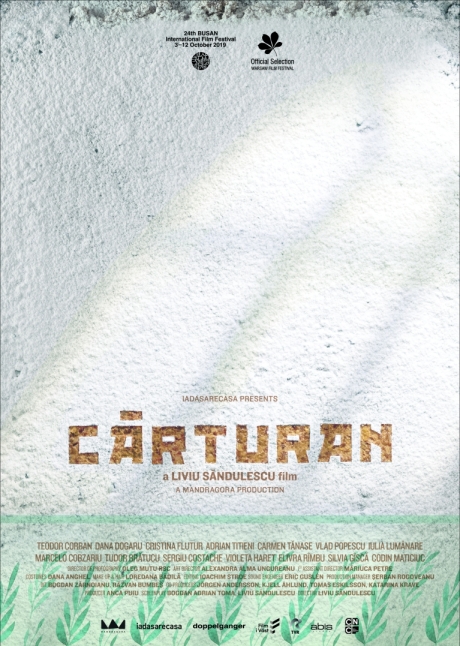 Carturan