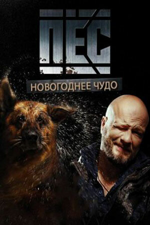 Новогодний пёс (сериал)