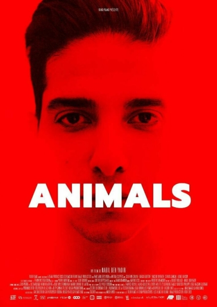 Animals