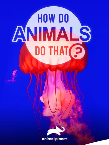 How do Animals do That