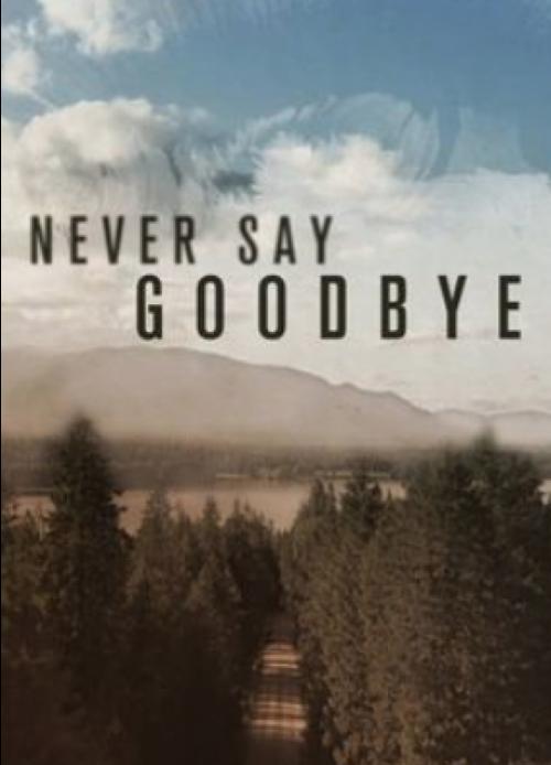 Never Say Goodbye