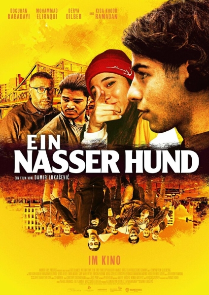 Ein Nasser Hund