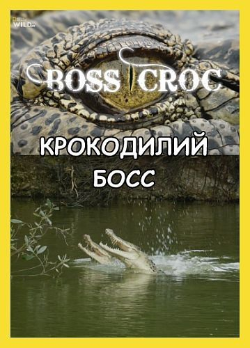 Boss Croc