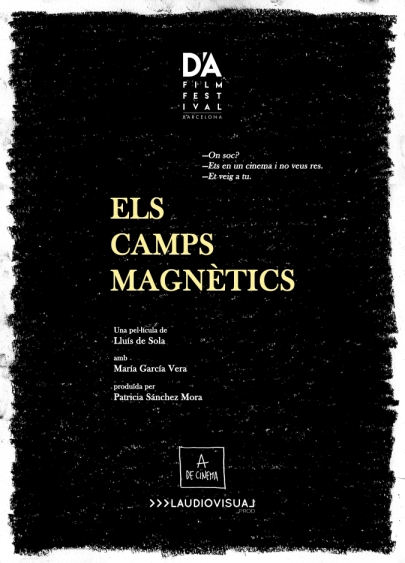 Els camps magnètics