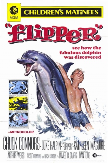 Flipper