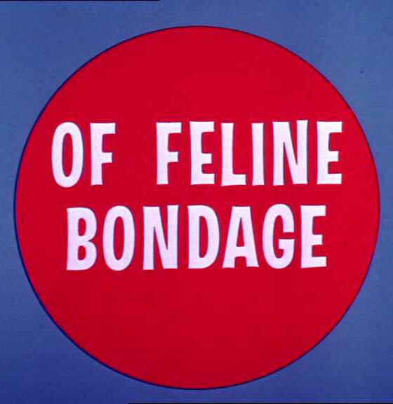 Of Feline Bondage