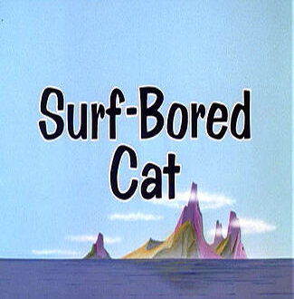 Surf-Bored Cat