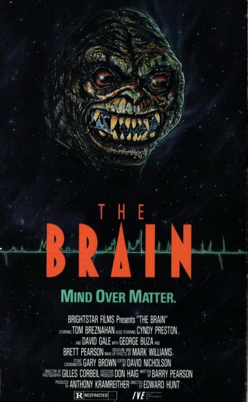 The Brain