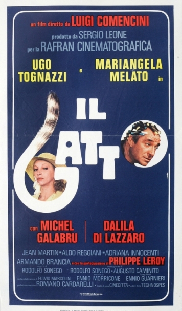 Il gatto