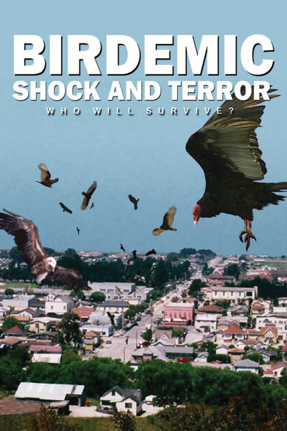 Birdemic: Shock and Terror