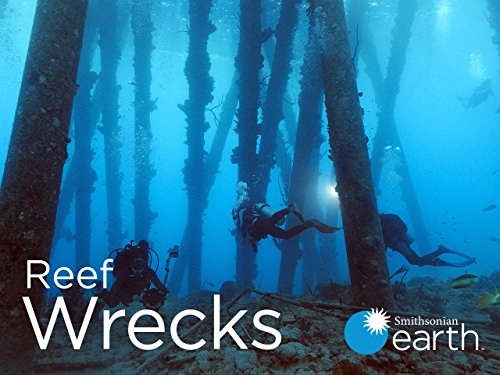 Reef Wrecks