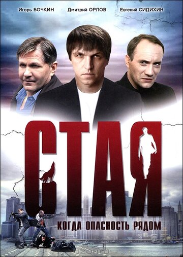 Стая (сериал)