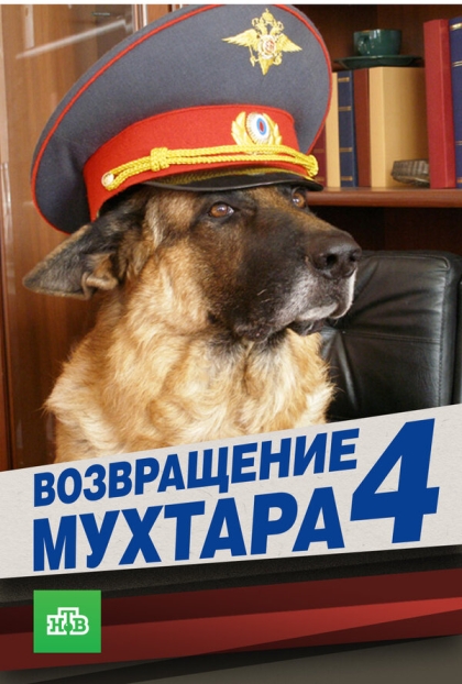 Возвращение Мухтара 4 (сериал)