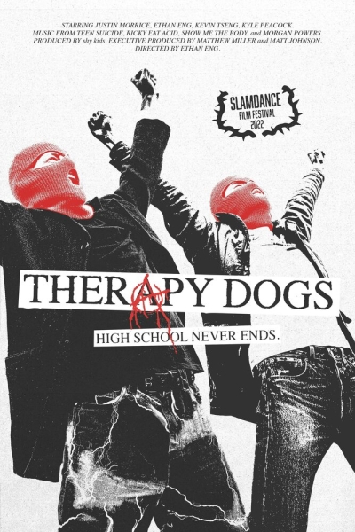 Therapy Dogs