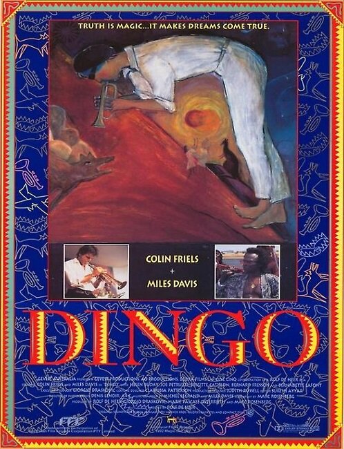 Dingo