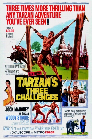 Tarzan's Three Challenges