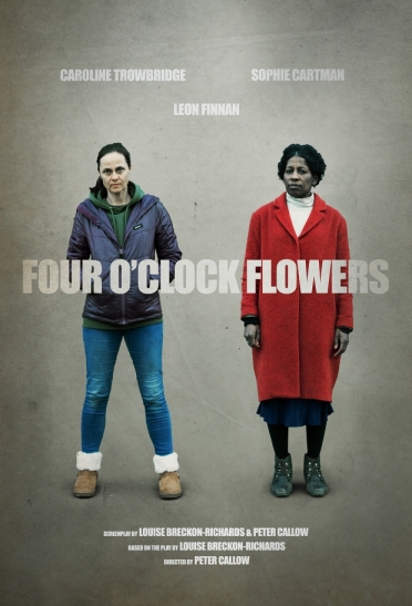 Four O'Clock Flowers