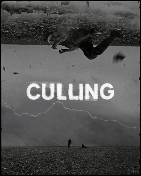 Culling