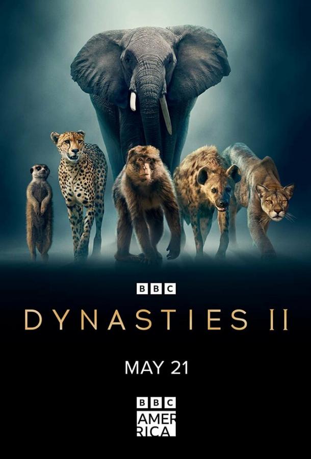 Dynasties II