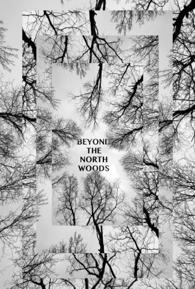 Beyond the North Woods