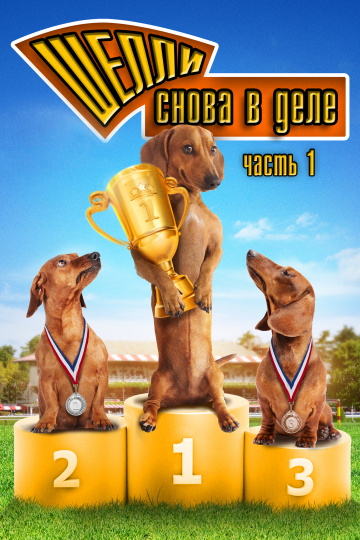 Wiener Dog Nationals