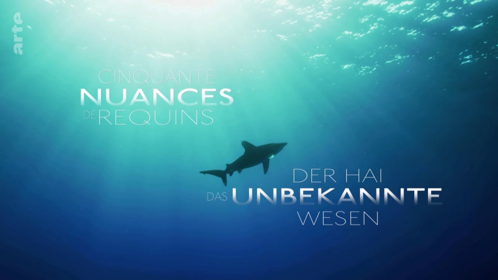 Cinquante nuances de requins