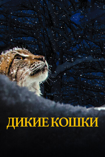 Дикие кошки