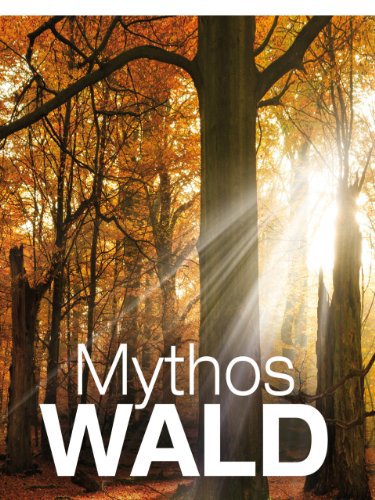 Mythos Wald