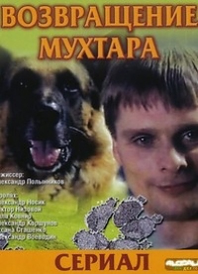 Возвращение Мухтара 6 (сериал)