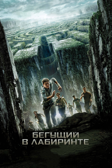 The Maze Runner