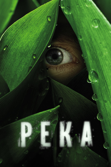 Река (сериал)