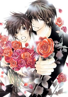 Sekaiichi hatsukoi