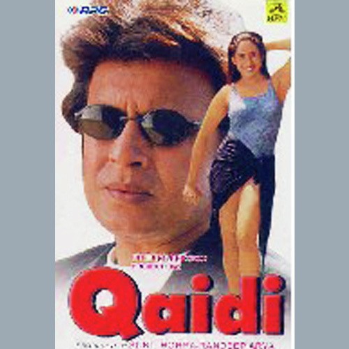 Qaidi