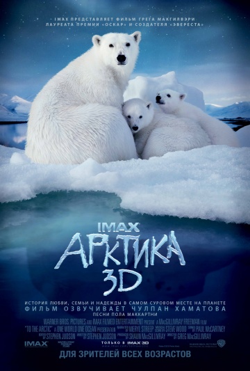 To the Arctic 3D