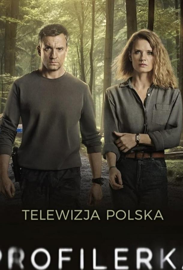 Профайлер (сериал)