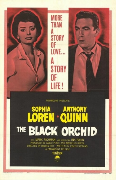 The Black Orchid