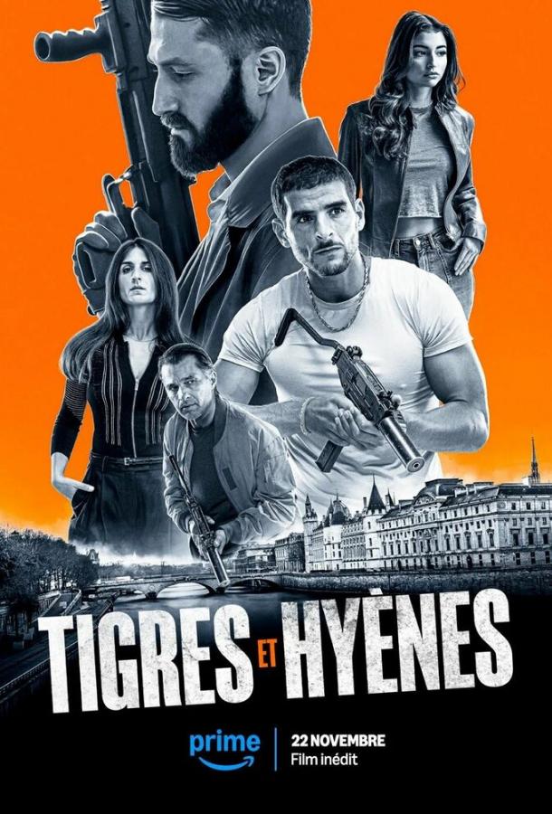 Tigres et Hyènes