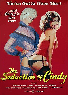 The Seduction of Cindy