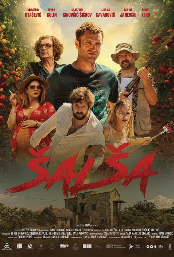 Salsa